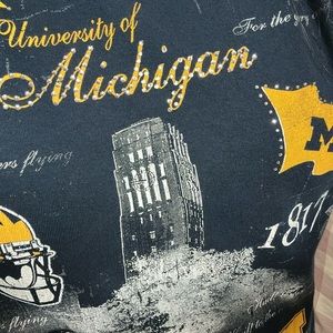 P. Michael University of Michigan Sweater